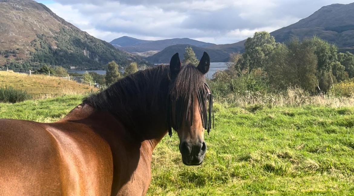 Ceo Mara Croft Taynuilt Exterior foto